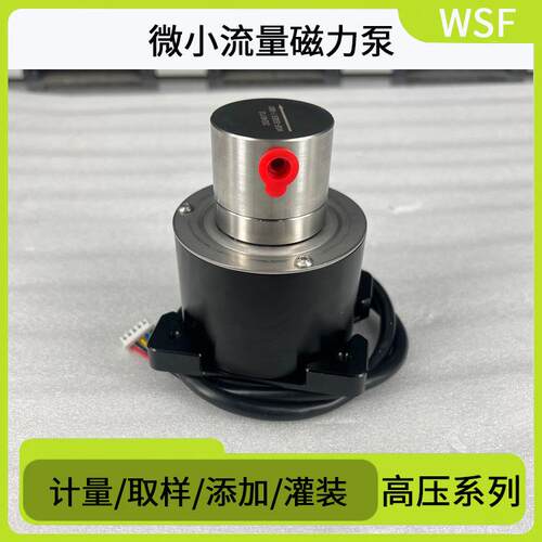 WSF磁力驱动泵微小流量高压力齿轮泵电解液甲醇制氢泵循环自吸泵
