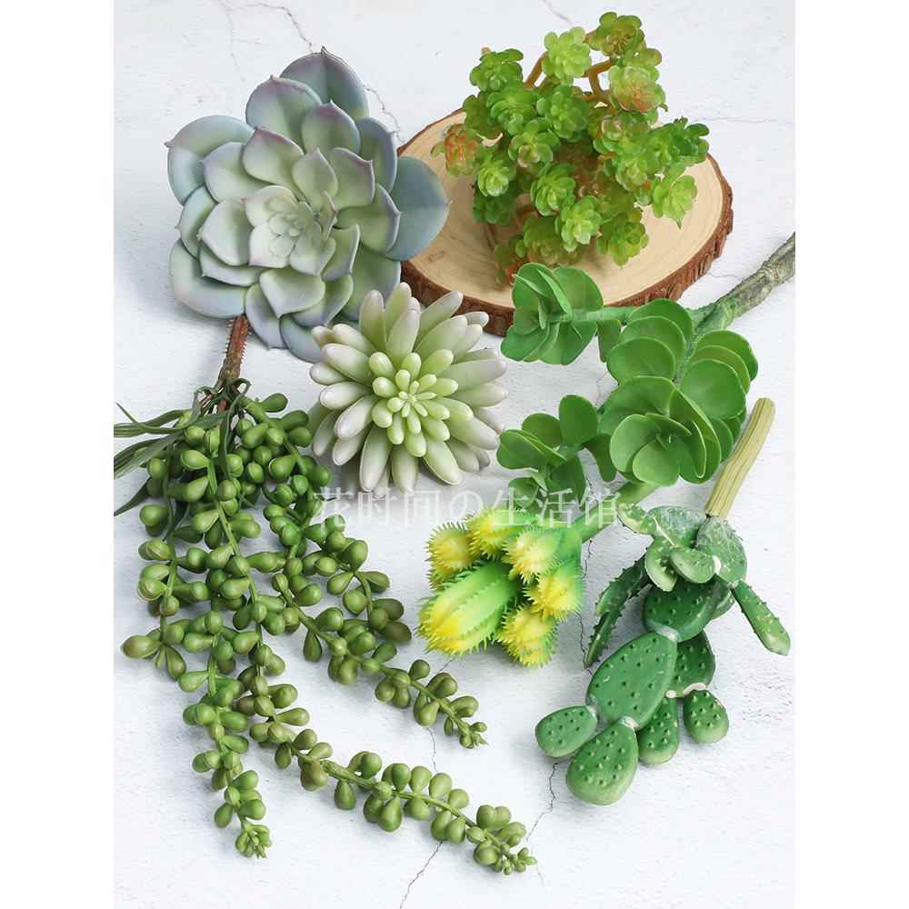 仿真多肉植物仙人掌超多款人造假花室内造景家居装饰品摆设件组合