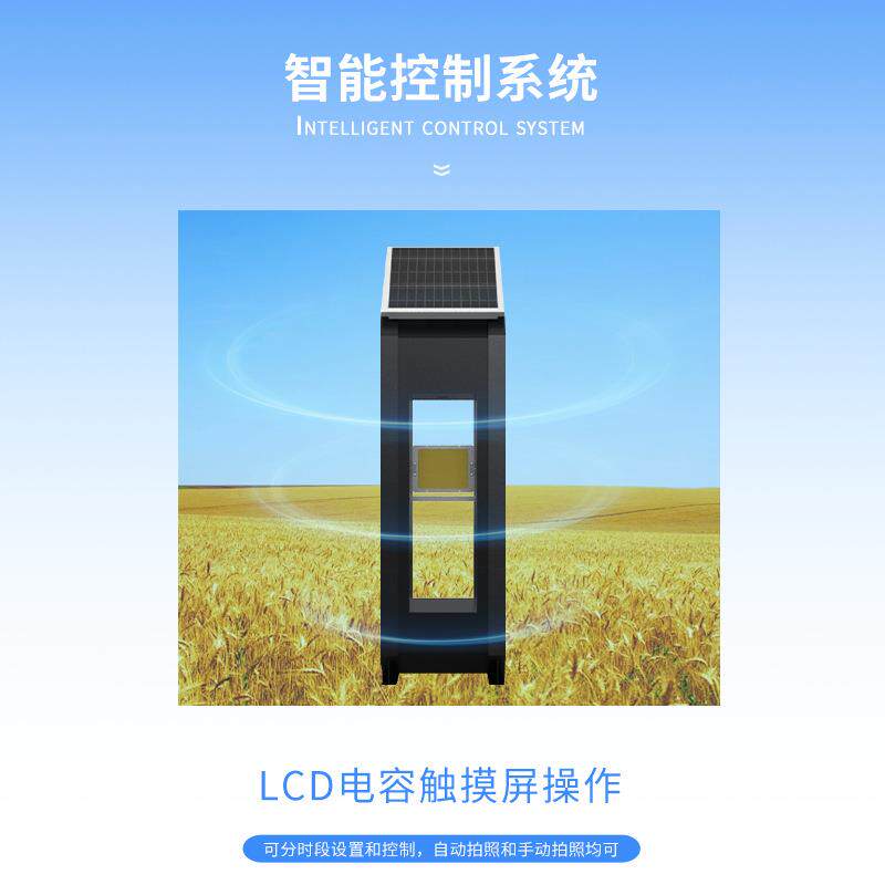 小麦蚜虫测报仪小麦蚜虫监测仪小麦蚜虫在线监测系统小麦蚜虫防治