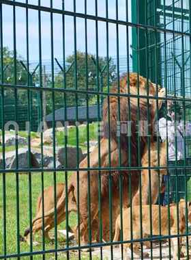 868双夹丝护栏剑型网别墅庭院喷塑绿色双横焊接丝围栏板外贸