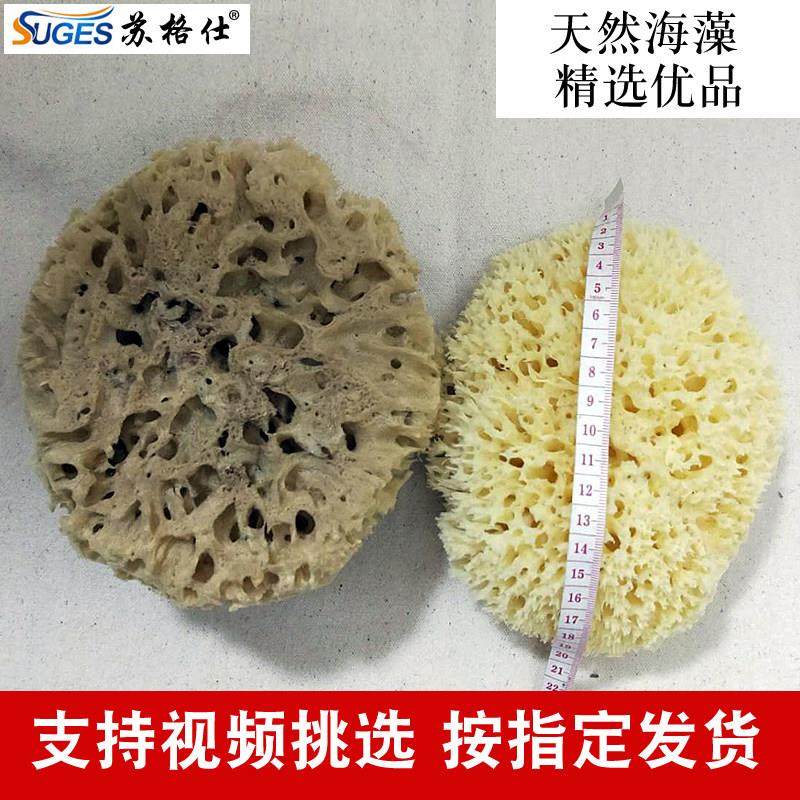进口希腊天然海藻绵蜂窝海绵三色珠光幻彩艺术漆点彩海棉拍花工具