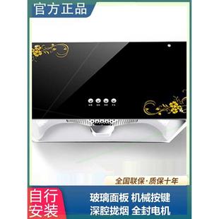 精品半球油烟机家用顶侧双吸彩屏智能语音体感自动清洗抽油烟机