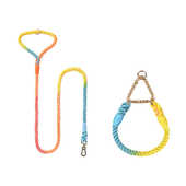 Loudk厂家批发编织彩虹宠物狗狗牵引绳p绳p字链项圈中大型犬