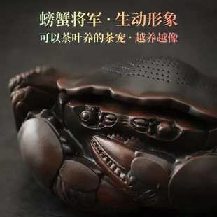 螃蟹茶漏紫陶一体过滤器可养茶宠摆件茶滤过滤网茶隔漏斗茶台装