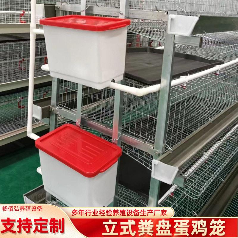 立式粪盘蛋鸡笼三层四层接粪盘蛋鸡笼热镀锌层叠式养殖养鸡设备
