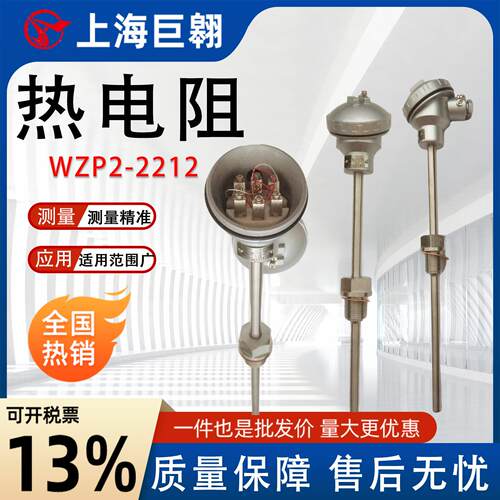 热电偶PT100温度传感器WZP2-2212双支热电阻工业工程化工生产测控