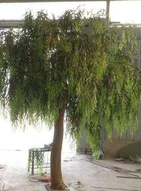 树仿真柳青四季常树酒店景观人造垂柳直柳树仿玻璃钢AL-57409人造