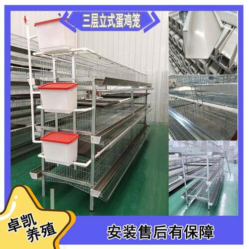 鸡舍养殖蛋鸡笼鸡场用蛋鸡笼厂家供应蛋鸡笼