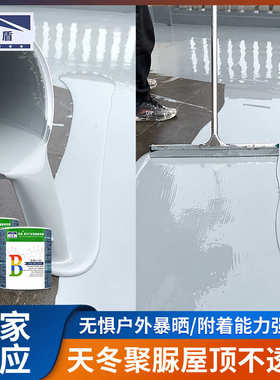 高盾天冬聚脲屋面不透水防水隔热涂料卫生间外墙水池补漏材料批发