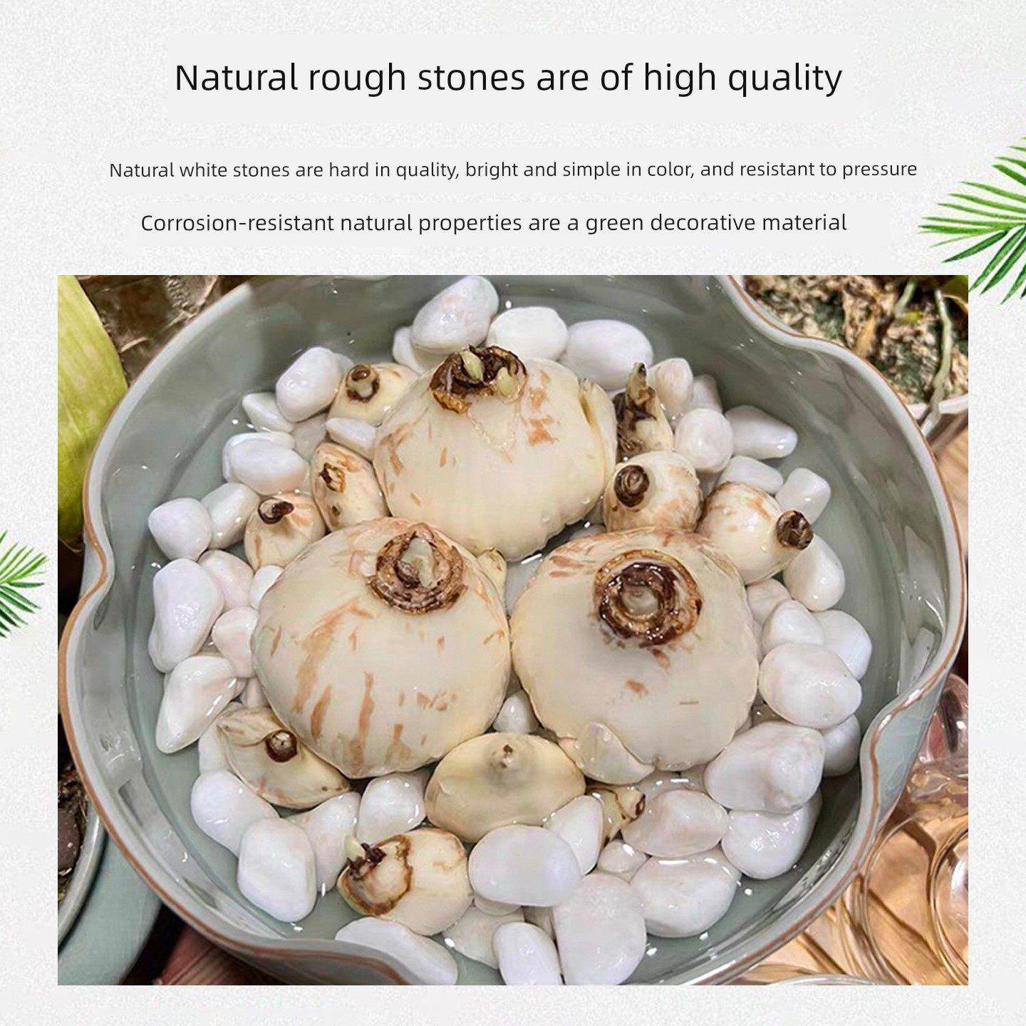 白色鹅卵石铺装白色砾石未经清洁抛光小白石装饰软户外庭院景观白