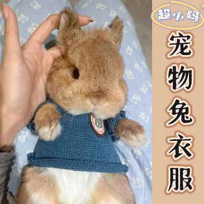 宠物兔专用小衣服穿的超小码可爱侏儒兔幼兔荷兰猪豚鼠品四季通用