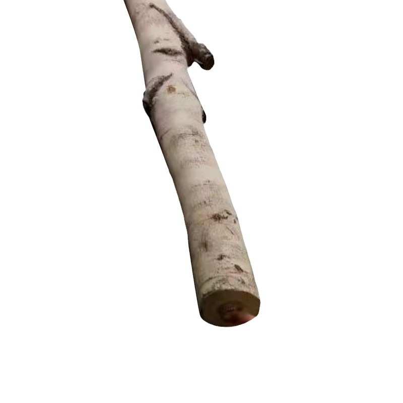 室内外装修FRP材料透光桦木发光防水网红店面改造建材透光白桦木