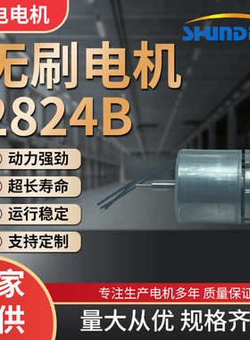 厂家美容直流电机扭矩仪大微型马达直流电机刷2824b无按摩减速