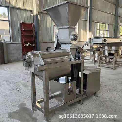 大型果蔬生姜压榨机大产能工业芹菜萝卜打浆机全自动苹果榨汁机