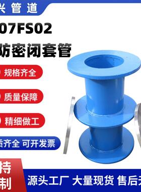 建筑用人防密闭套管 DN250穿墙防护套管 07FS02钢制密闭防护套管