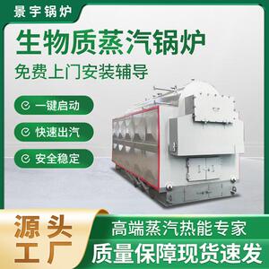 生物质蒸汽燃煤蒸汽锅炉食品酿酒厂医药工业自动链条蒸汽锅炉