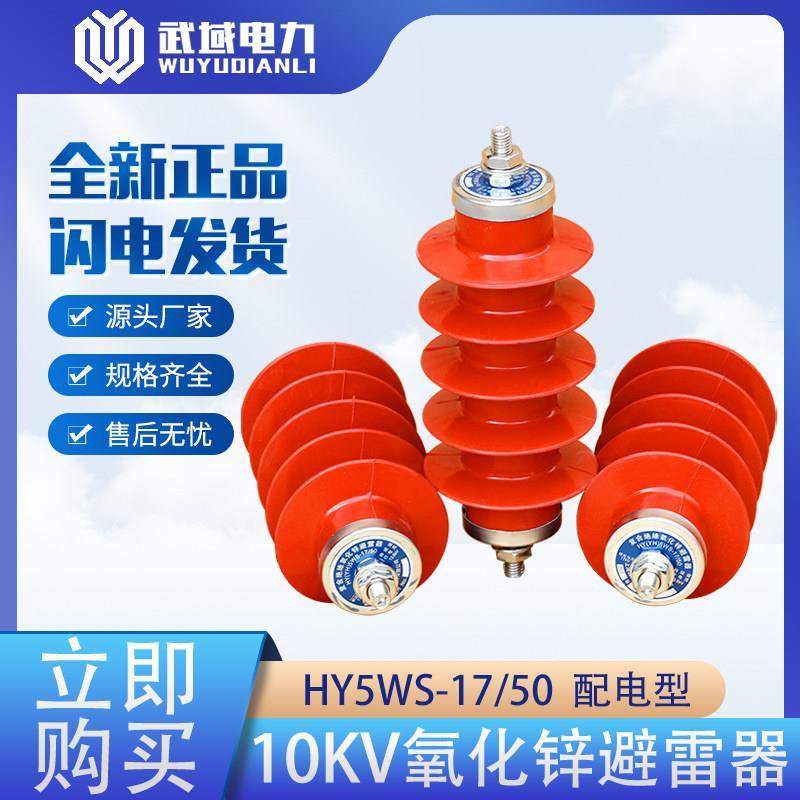 氧化锌避雷器HY(YH)5WS-17/50无间隙高压10KV硅橡胶复合外套保护