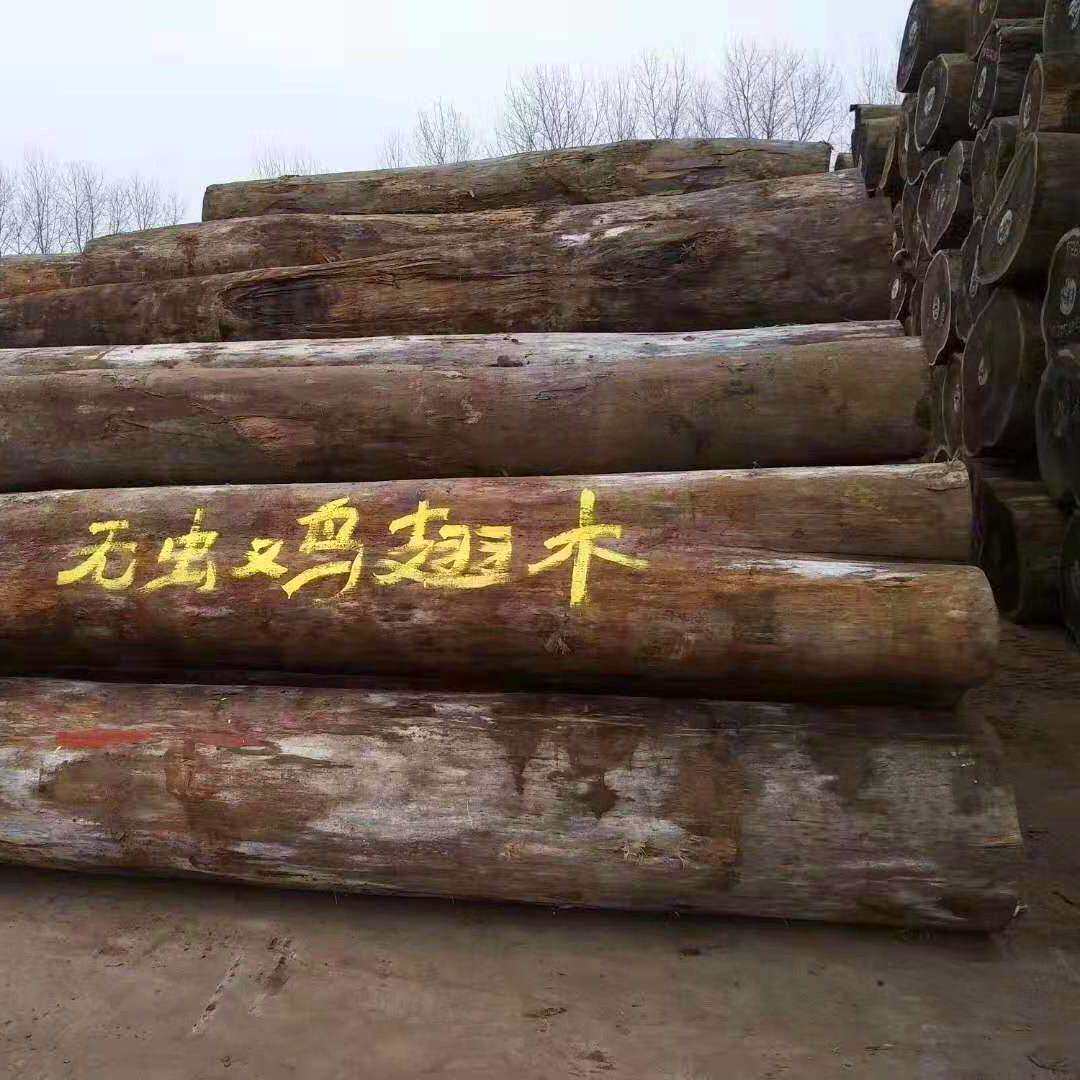 厂家供应非洲黑鸡翅原木 无虫黑鸡翅代 家具材 花纹美丽