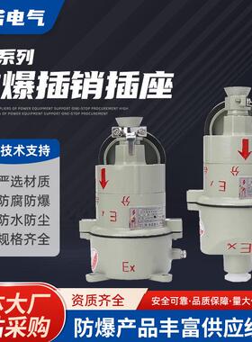 防爆AC插销16A/220V/380V32A5芯插销直插斜插防爆插头四芯防漏