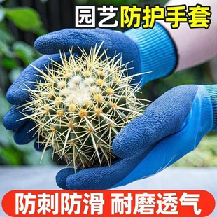 园艺手套防刺防滑耐磨防水防割透气吸汗种花劳保防护型防扎保护女