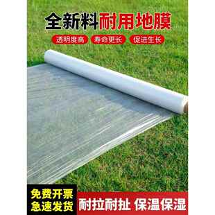 农用白色地膜塑料薄膜加厚种植聚乙烯塑料纸保温保湿大棚种菜工程