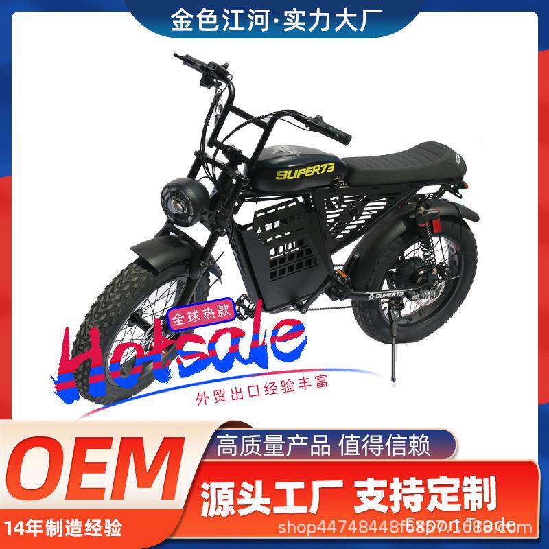 高质量胖胎锂电电动自行车 沙滩雪地越野电动车两轮车