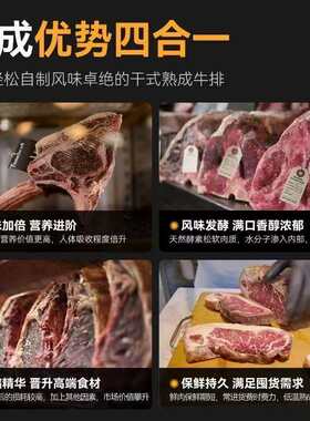 牛肉熟成柜式和牛排酸冷柜西餐烤干柜肉冷藏恒温冻深377海鱼柜展
