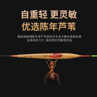 新Alu同浮筒A62A3135鲫鱼和鲤鱼混合养殖冲程浮筒分批浮竞争性黑