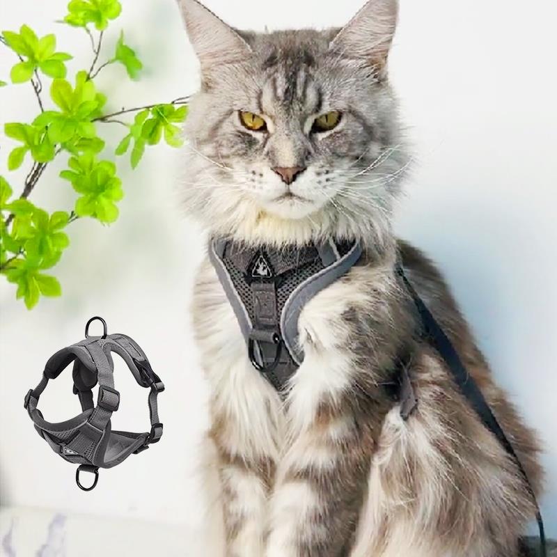猫脖子项圈牵引绳防挣脱猫外出专用遛猫神器