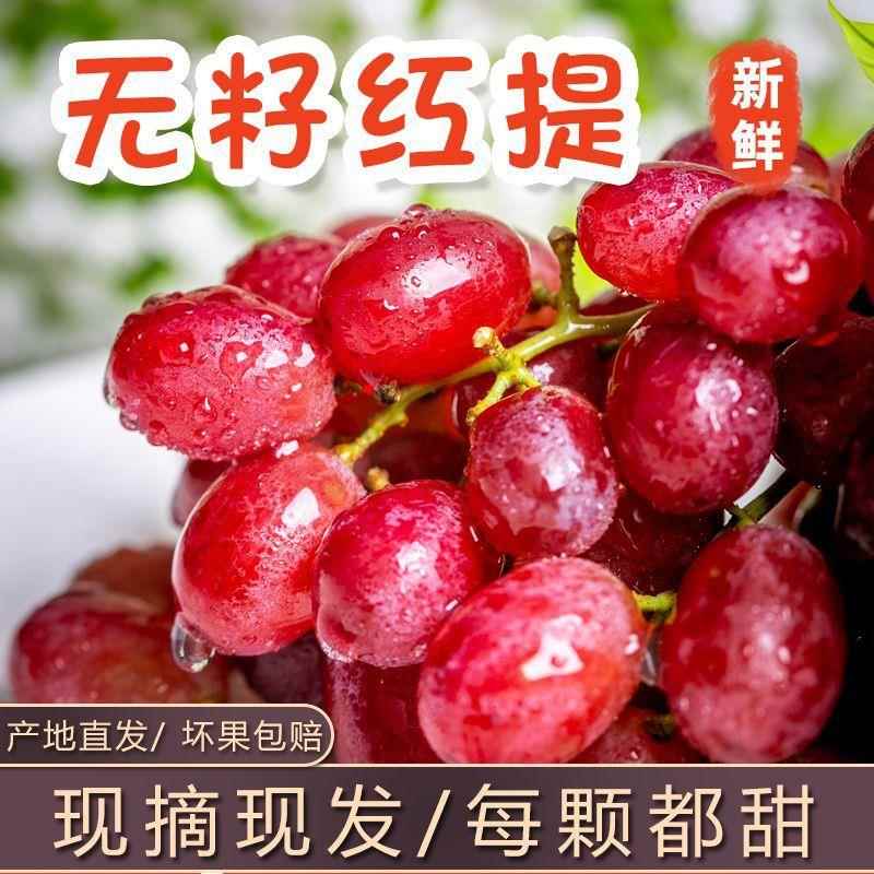 【现摘现发】克伦生无籽红提葡萄脆甜多汁无核红提子孕妇新鲜水果