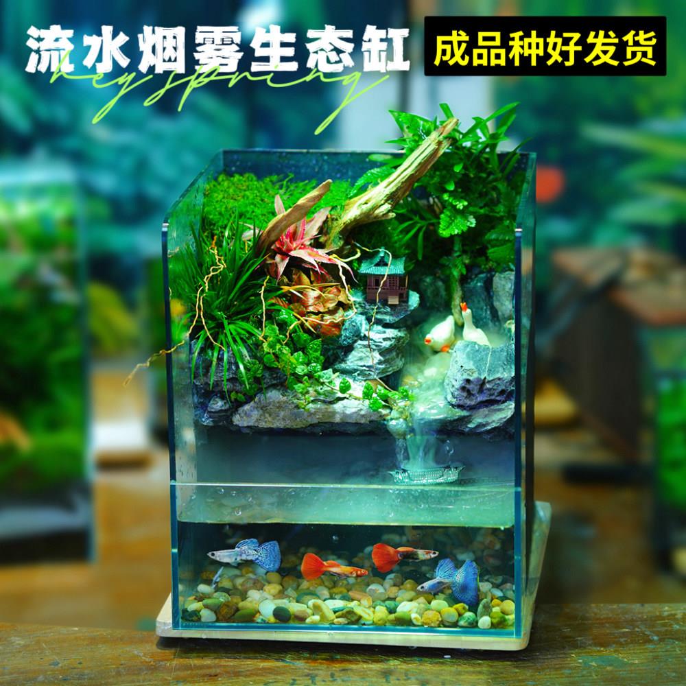 超白玻璃鱼缸流水烟雾生态缸桌面微景观植物造景装饰两栖生态雨林