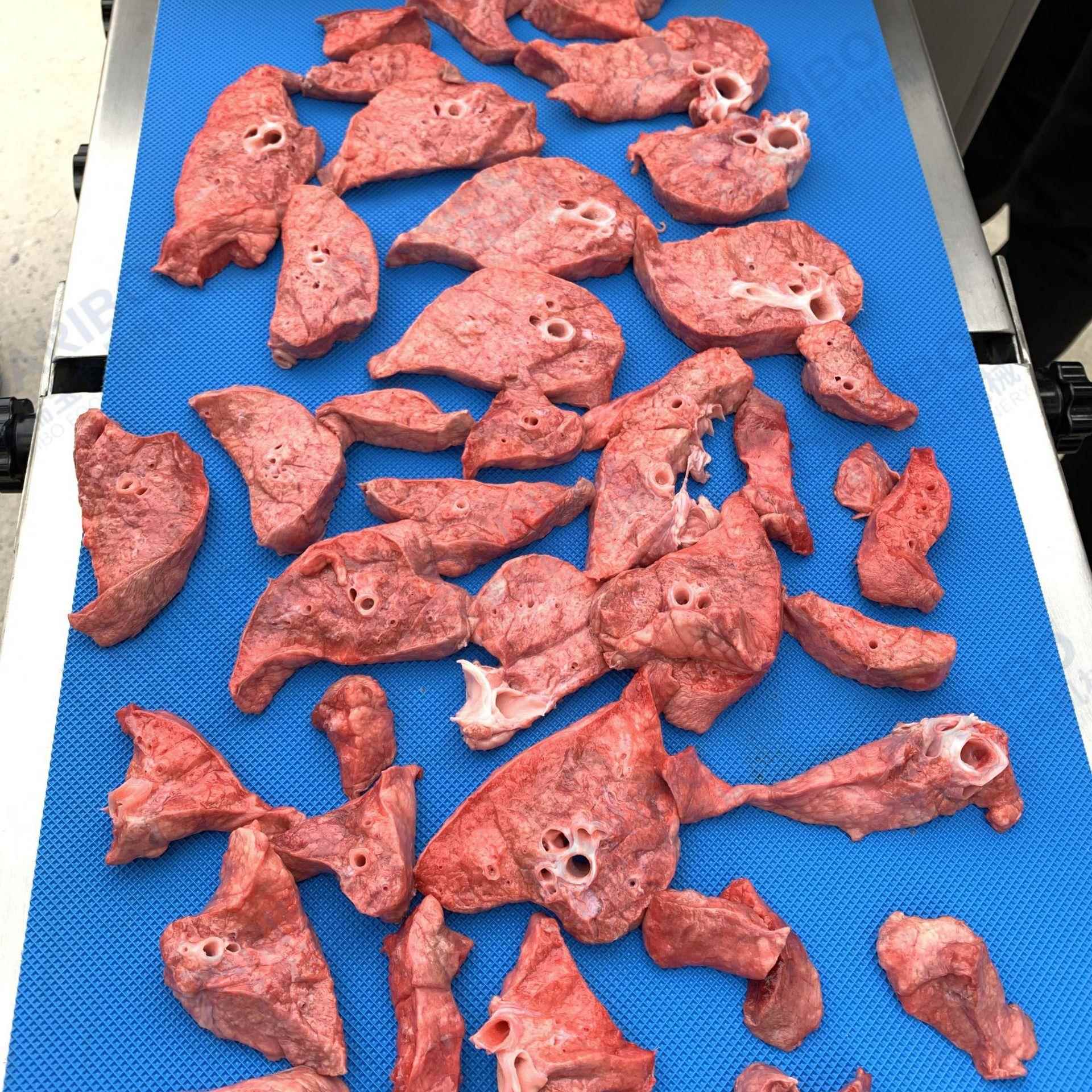 W猪肺分条机 多功能猪肉切条机 鲜肉切割设备 学校食堂加工设备