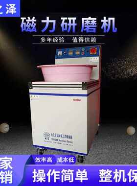 供应除锈磁力抛光机TT-845 金属除锈研磨机 五金除毛刺磁力研磨机