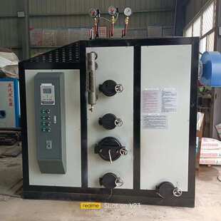 工业食品酒店洗浴用生物质蒸汽锅炉自动运行蒸煮燃油燃气蒸汽锅炉