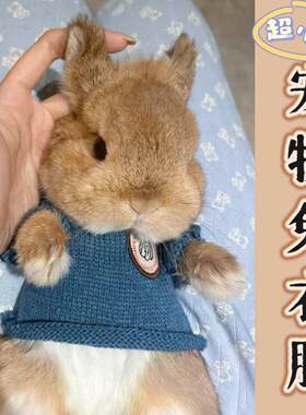 宠物小兔子穿的衣服超小码可爱四季款侏儒兔幼兔荷兰猪豚鼠专用品