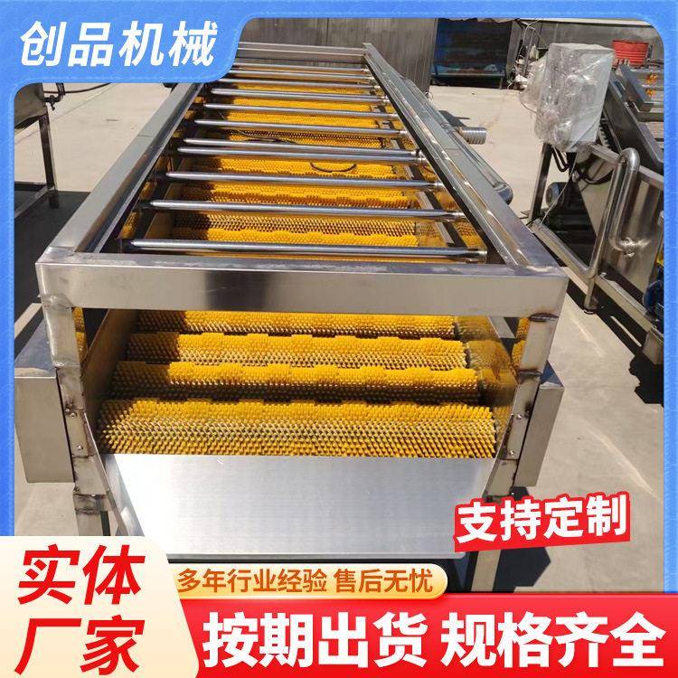 生姜萝卜去皮清洗机全自动硬毛辊清洗设备耐磨毛辊使用寿命长