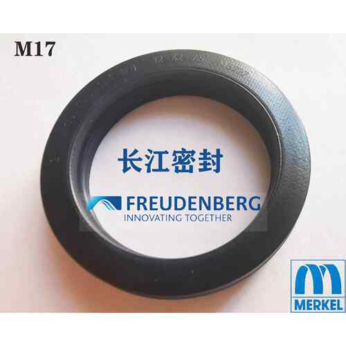 MerkelFreudenberg32-42-7.5M3727进口回转密封圈德国CFWMFF
