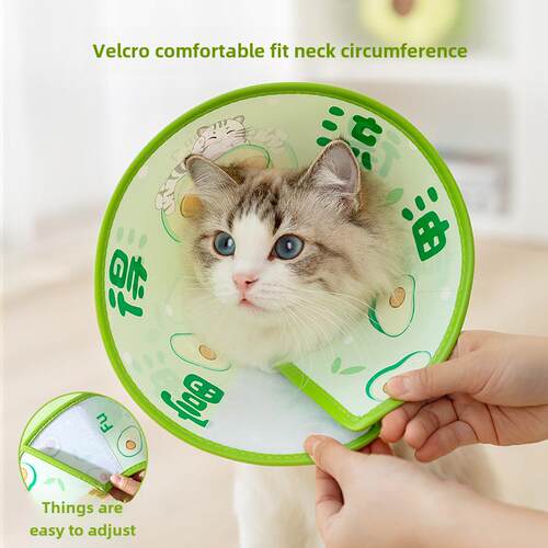 伊丽莎白圈防挣脱不勒颈宠物狗狗猫咪吉祥语狗狗绝育术后防咬防舔
