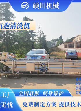 油麦菜清洗风干线 花椒芽气泡清洗机 毛豆青蚕豆清洗漂烫流水线