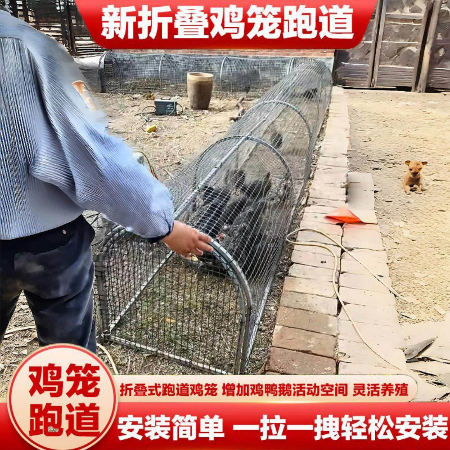 跑道鸡笼可铁丝搭建走地养鸡笼子溜达家禽家禽庭院跑笼围栏网图片