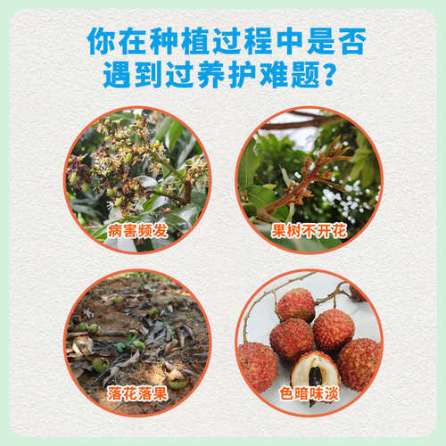 荔枝龙眼专用叶面肥保花保果药丰产灵丰产素果树增甜防落素防裂果