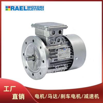 意大利RAEL电机马达防爆电机RAEL Motori Elettrici