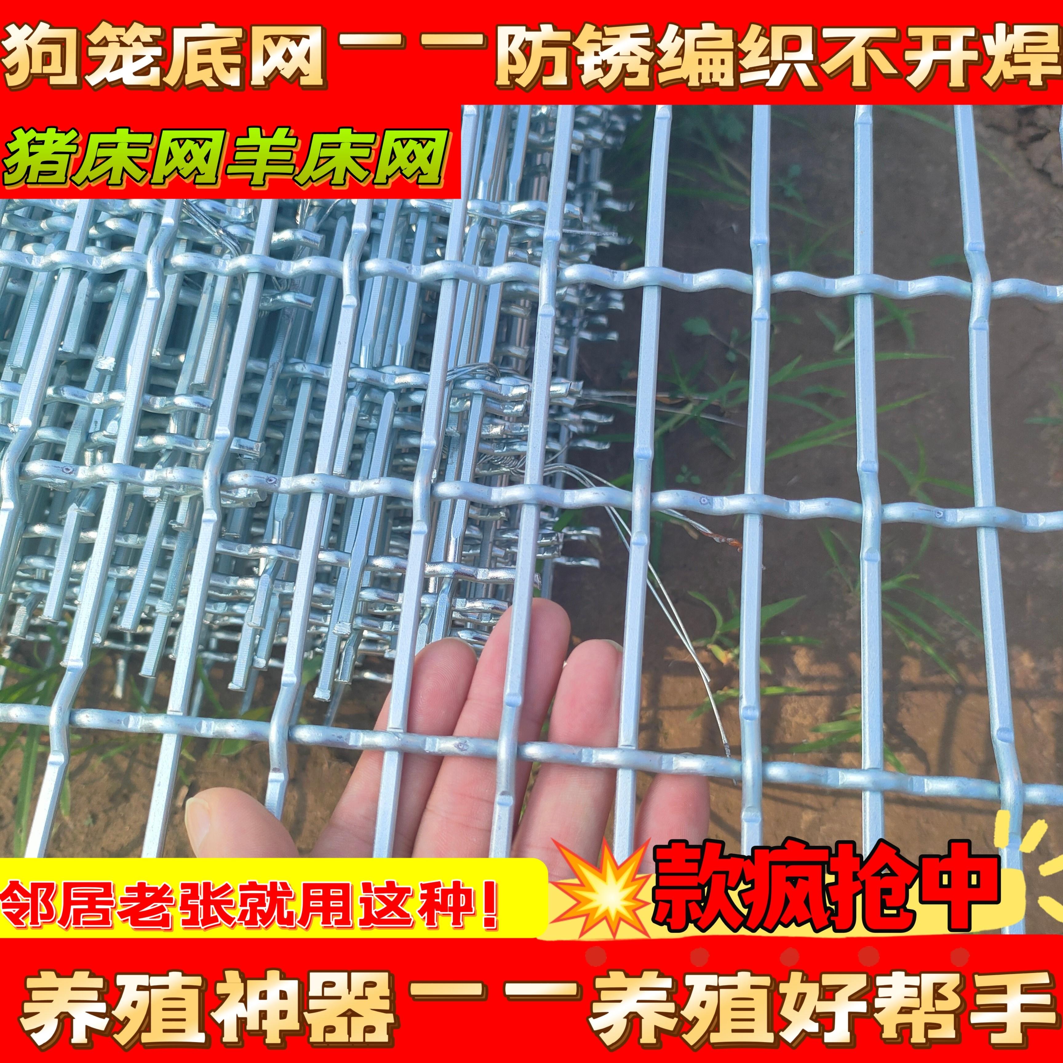镀锌防锈狗笼底网 犬舍垫脚网 1.2米宽2米长养殖用铁丝编织网