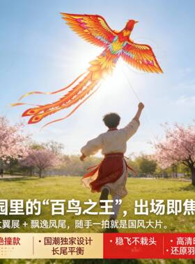 2026年春季新款潍坊风筝大型国潮创意长尾巴飘带凤凰微风易飞纸鸢