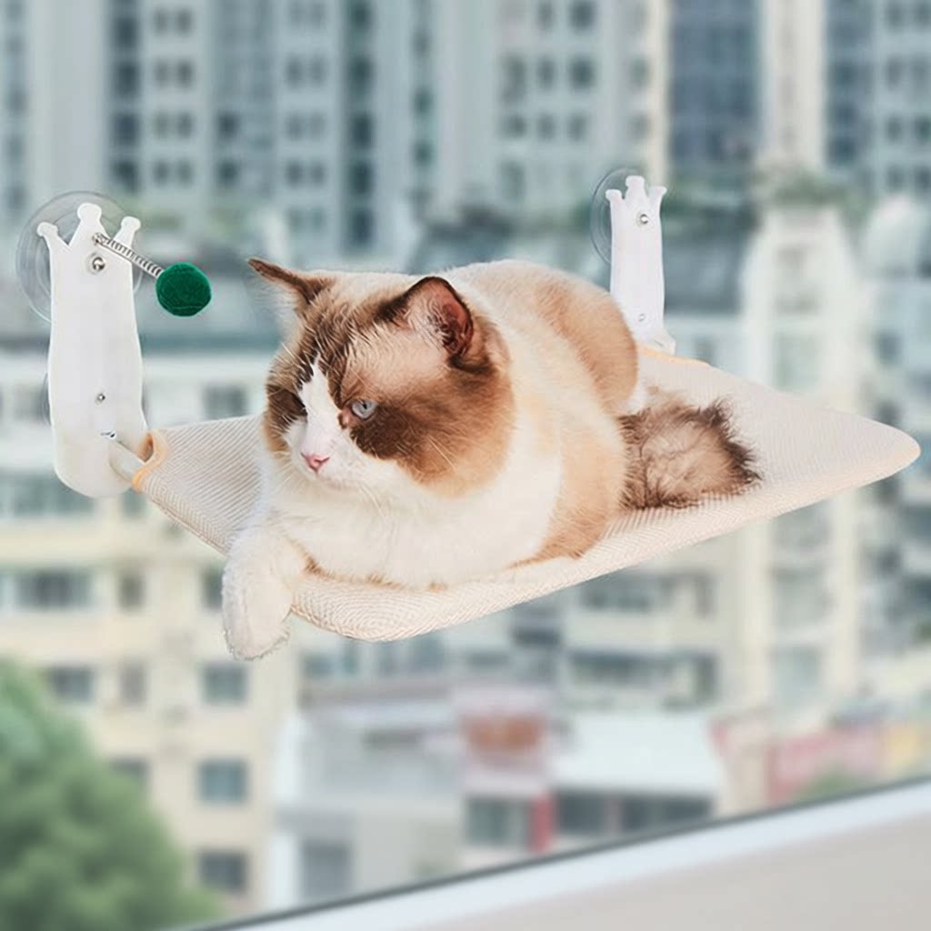 晒太阳猫咪吊床吊床阳台窗户沙发