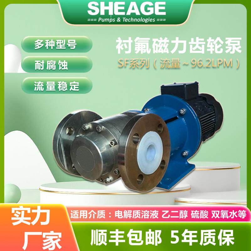 衬氟齿轮泵 电解质溶液乙二醇双氧水硫酸 SHEAGE SF601化工循环泵