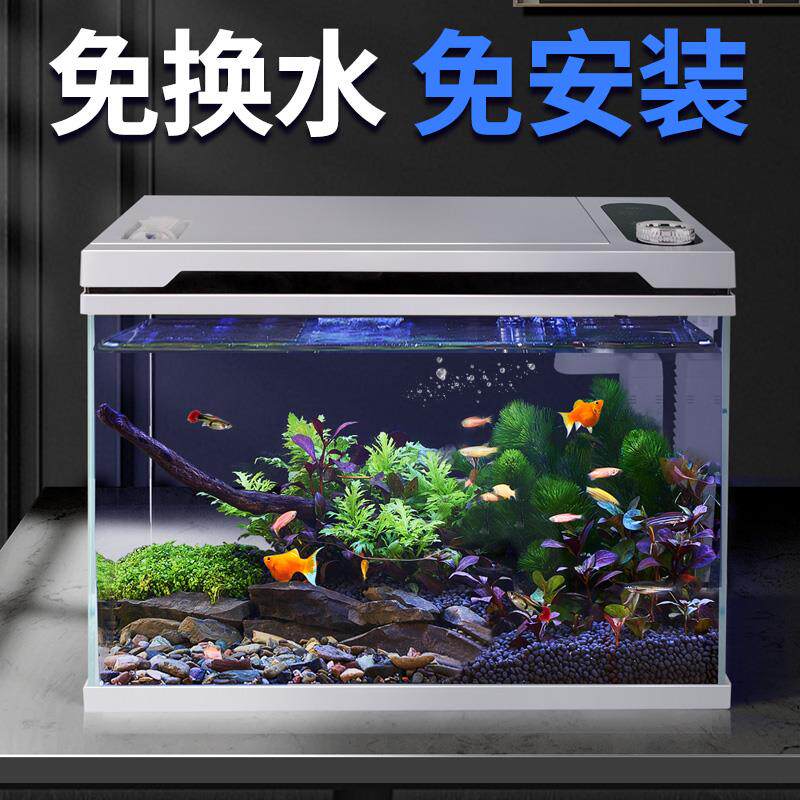 免安装2024新款自动喂食免换水恒温除菌生态超白玻璃客厅小型鱼缸