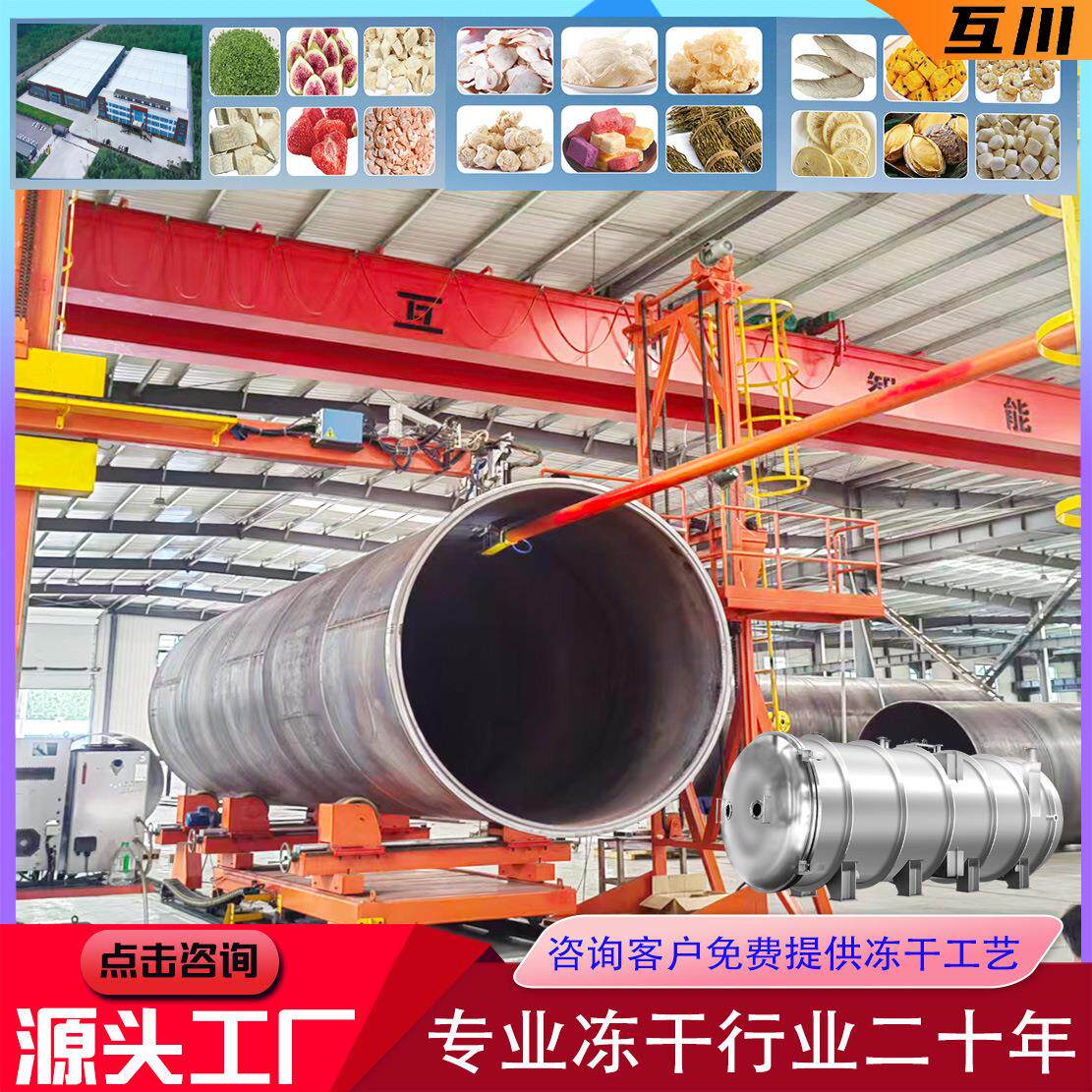 沙棘果冻干机蓝靛果黑枸杞真空冷冻干燥设备云南鲜花冻干机厂家