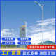 道路景观灯照明草坪路灯高杆led220v市电灯太阳能生产厂家庭院灯