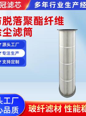 防脱落聚酯纤维除尘滤筒车间滤筒工业粉尘滤筒聚酯纤维折叠滤筒